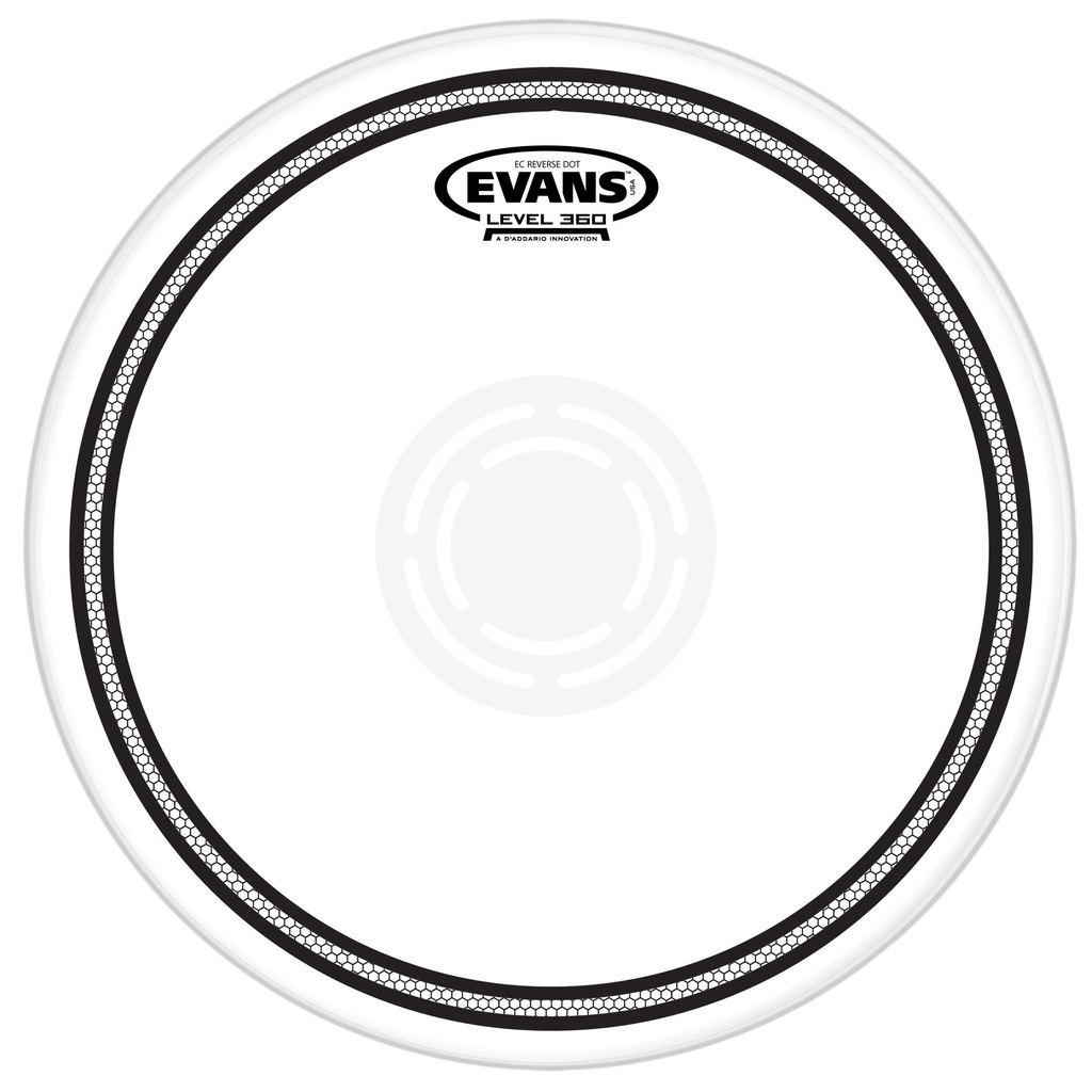 Evans 13" EC2 Reverse Dot Head