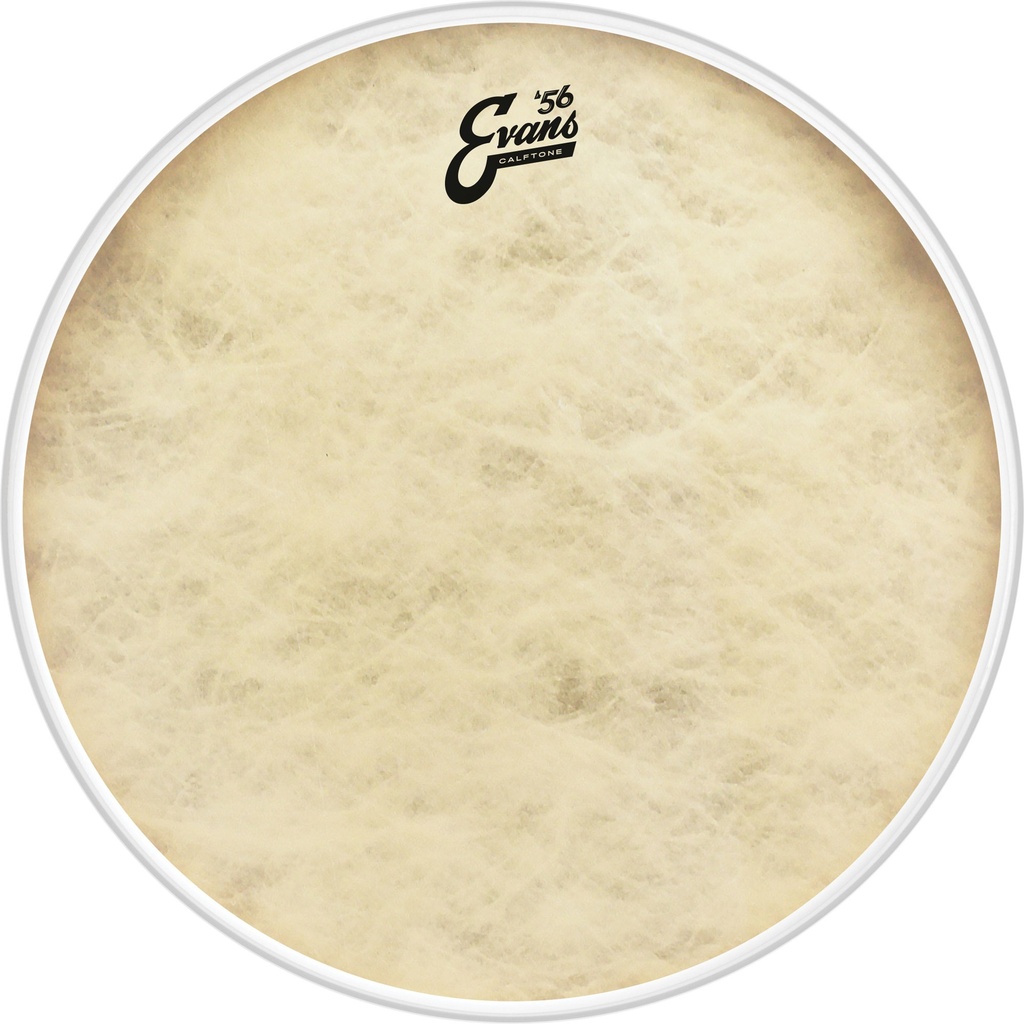 Evans 16" '56 Calftone Bass Head
