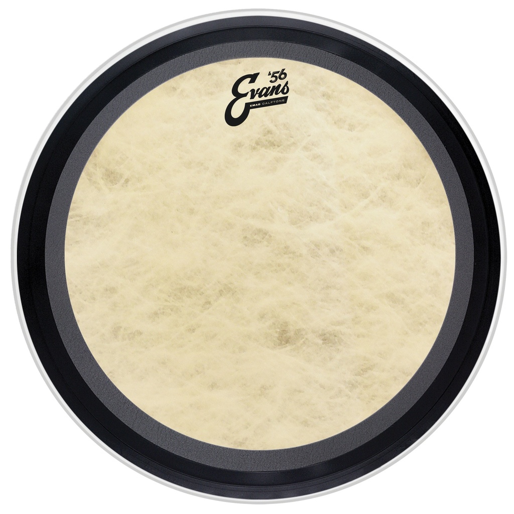 Evans 16" EMAD '56 Calftone Bass Head