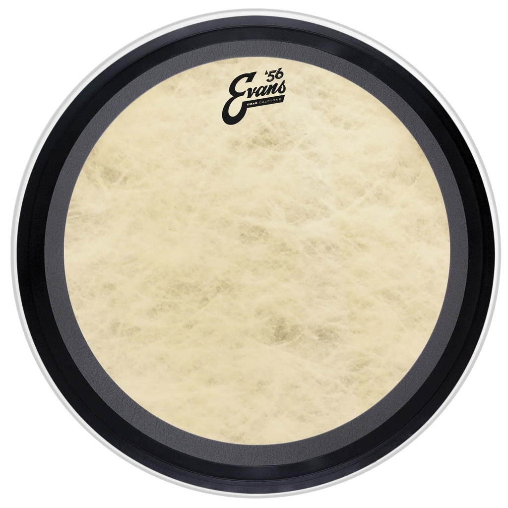 Evans 16" EMAD '56 Calftone Tom Head