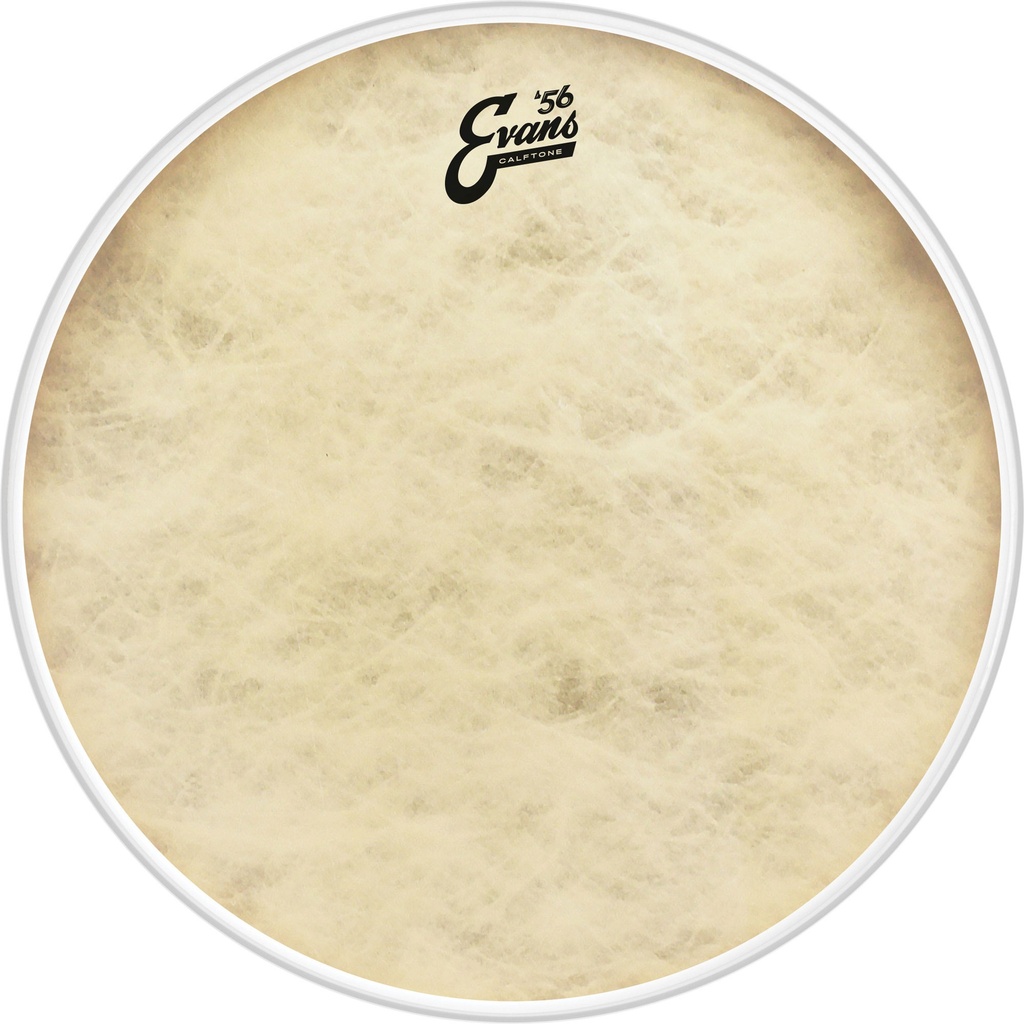 Evans 22" '56 Calftone Bass Head