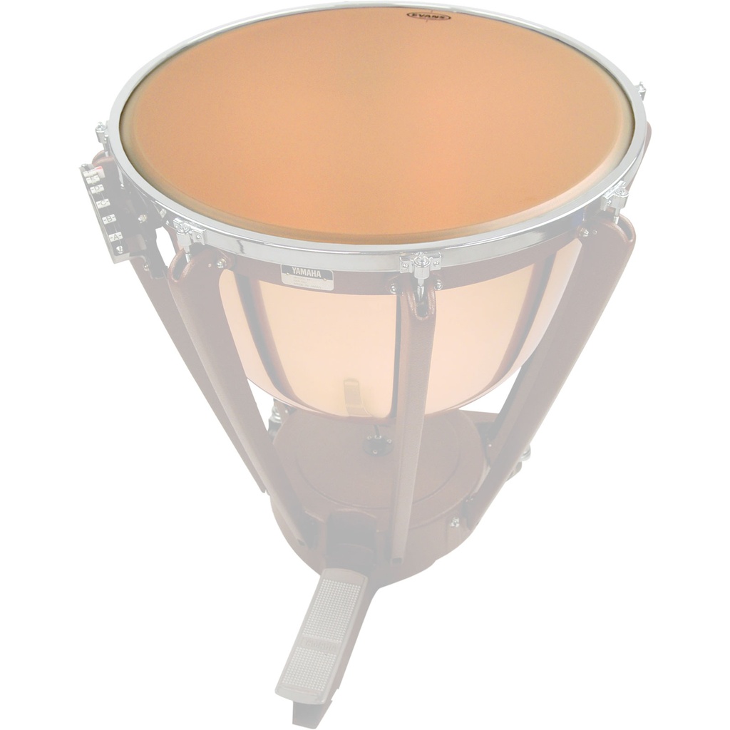 Evans 23" Strata Timpani Head