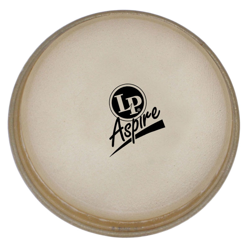 LP 10" Aspire Quinto Head Rawhide