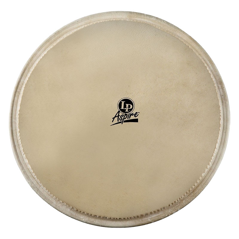 LP 12.5" LPA Djembe Head