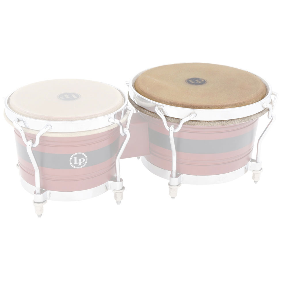 LP Dandy Hembra Head 9" for LPL201A-JR