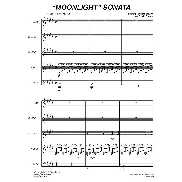 Panyard Panyard 7069 - Moonlight Sonata by Ludwig van Beethoven