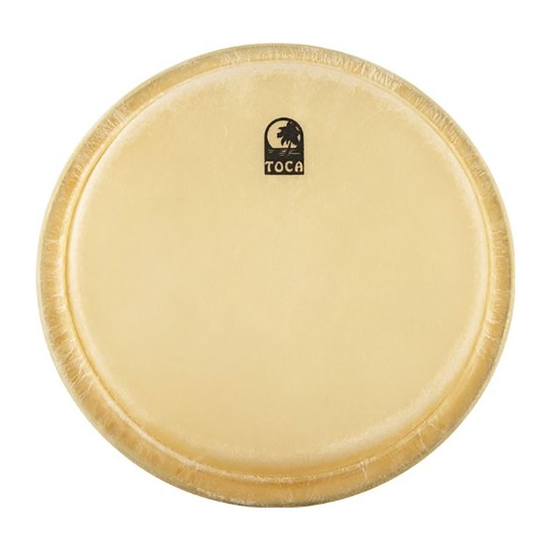 Toca 6" Synergy Fiberglass Series Bongo Head