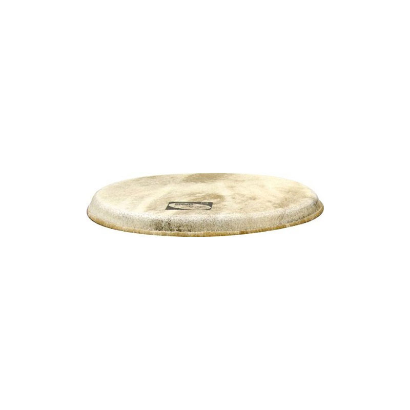 Toca 7" Players and Elite Series Bongo Head
